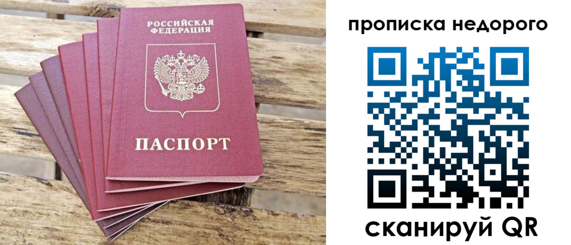 прописка ребенка в Ленинградской области